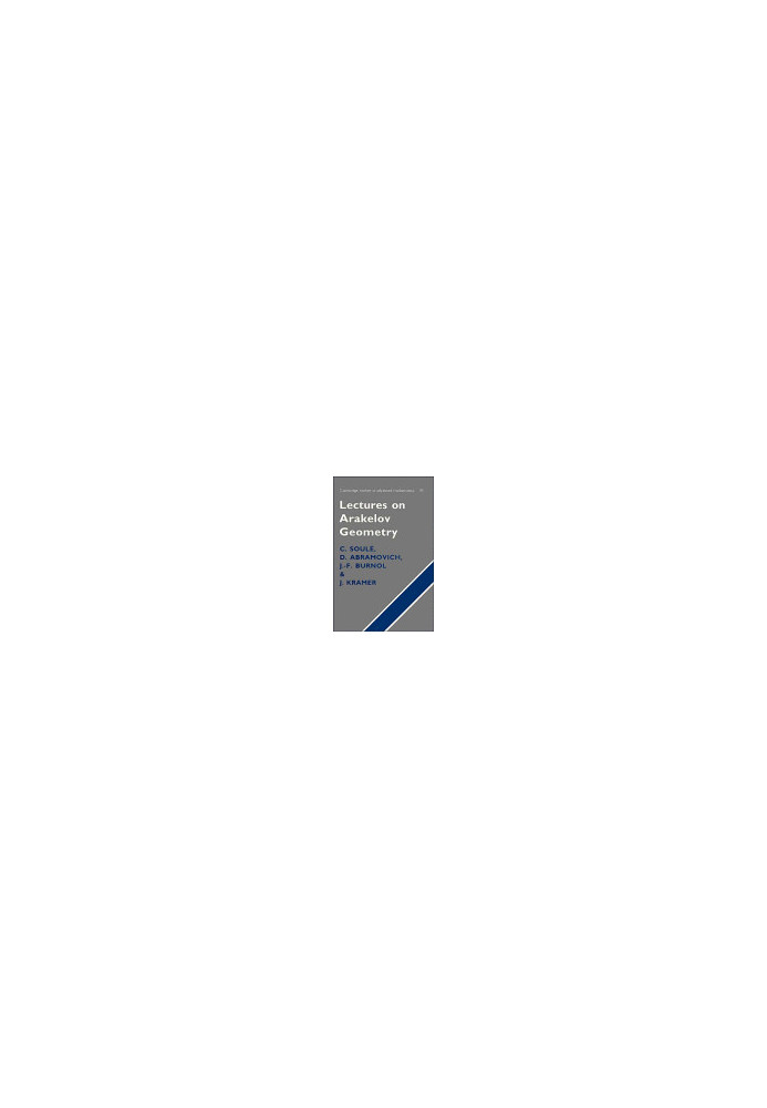Lectures on Arakelov geometry