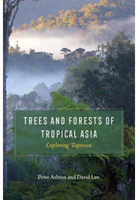 Trees and Forests of Tropical Asia: Exploring Tapovan