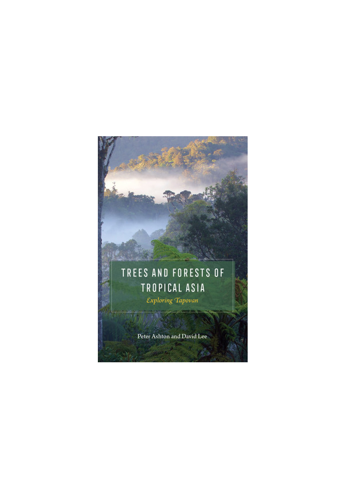 Trees and Forests of Tropical Asia: Exploring Tapovan