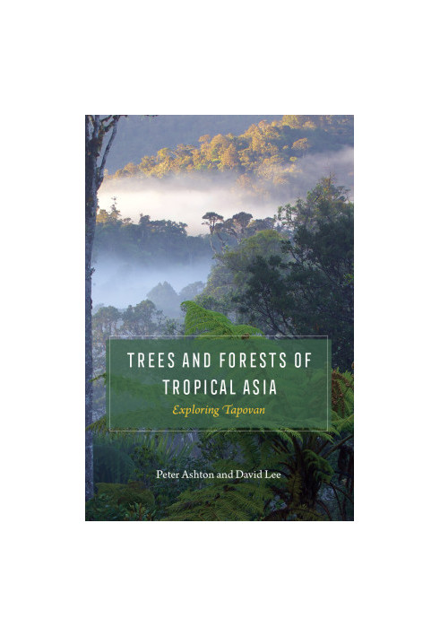 Trees and Forests of Tropical Asia: Exploring Tapovan
