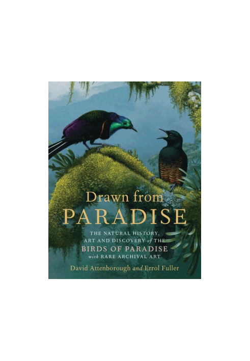 Drawn From Paradise: The Discovery, Art and Natural History of the Birds of Paradise