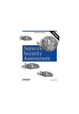 Network security assessment