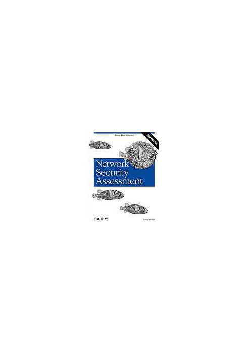Network security assessment