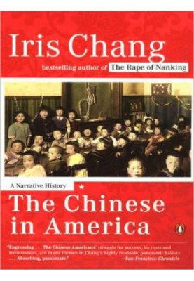 The chinese in america: a narrative history