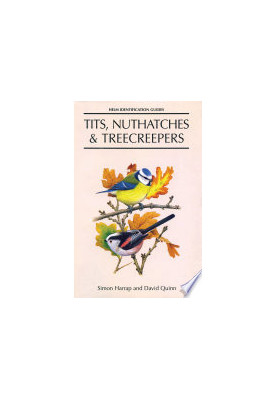 Tits, Nuthatches and Treecreepers