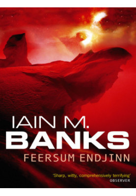 Feersum Endjinn