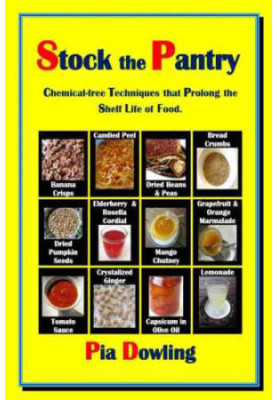 Stock the pantry : chemical-free techniques that prolong the shelf life of food