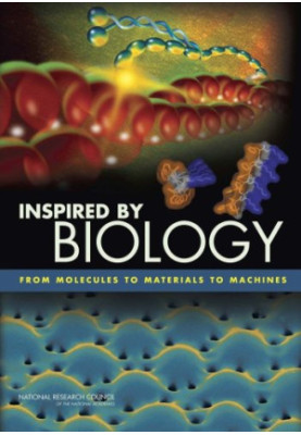 Inspired by Biology: From Molecules to Materials to Machines