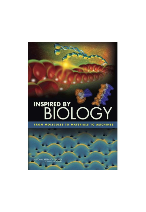 Inspired by Biology: From Molecules to Materials to Machines