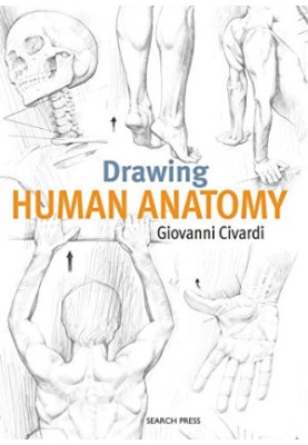Drawing Human Anatomy