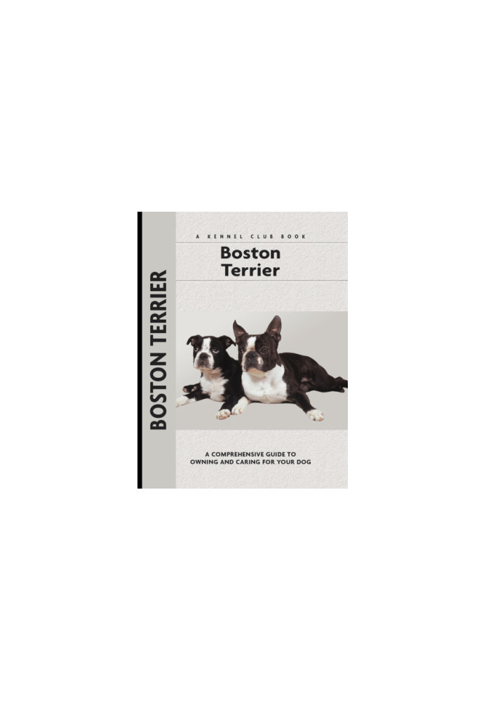 Boston Terrier