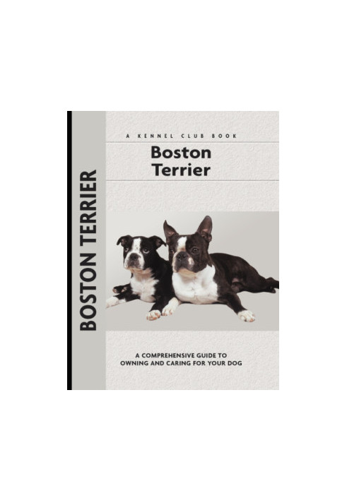 Boston Terrier