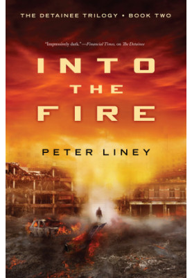 [The Detainee Trilogy 02] • Into the Fire