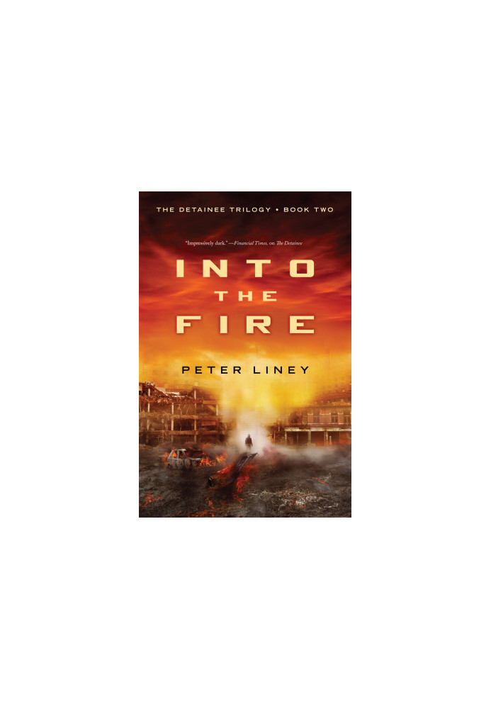 [The Detainee Trilogy 02] • Into the Fire