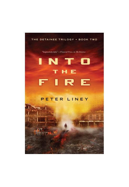 [The Detainee Trilogy 02] • Into the Fire