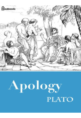 Apology