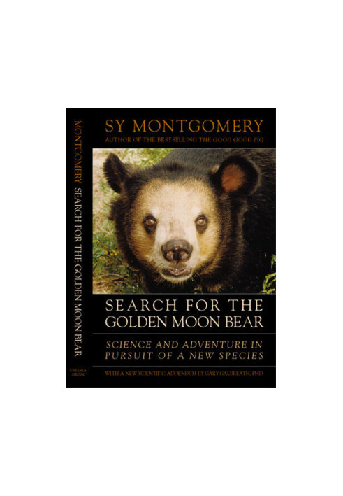 Search for the Golden Moon Bear