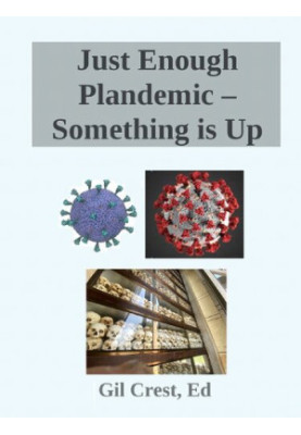 Just Enough Plandemic – Something is Up, Unraveling the COVID Narrative