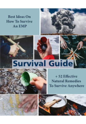 Survival Guide: Best Ideas On How To Survive An EMP + 52 Effective Natural Remedies To Survive Anywhere