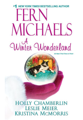 A Winter Wonderland (Lucy Stone Mystery 18.5)