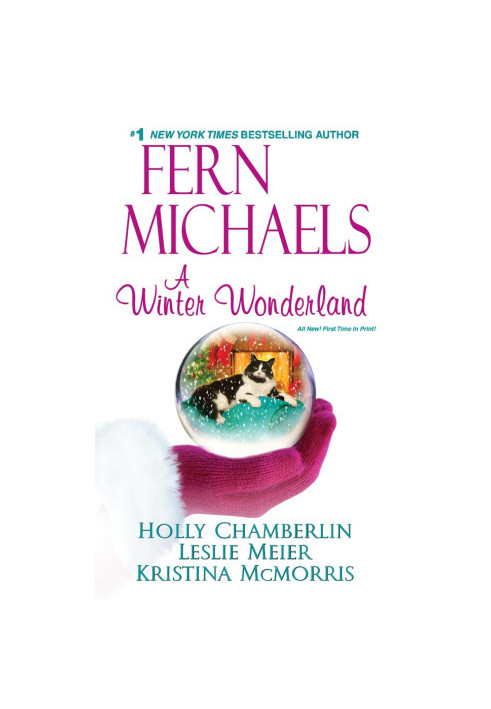 A Winter Wonderland (Lucy Stone Mystery 18.5)