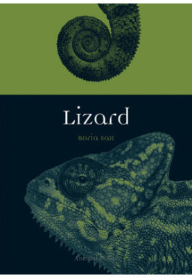 Lizard