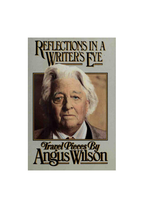 Reflections in A Writer's Eye