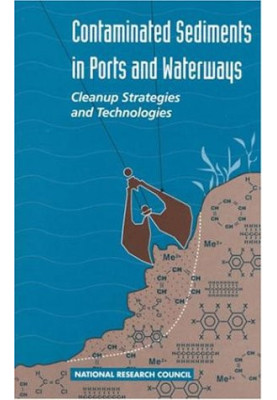 Contaminated Sediments in Ports and Waterways: Cleanup Strategies and Technologies