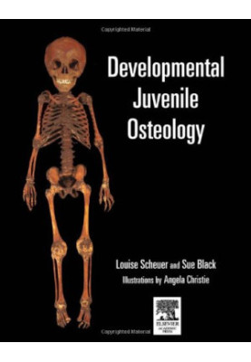 Developmental Juvenile Osteology