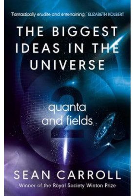 The Biggest Ideas in the Universe 2: Quanta and Fields