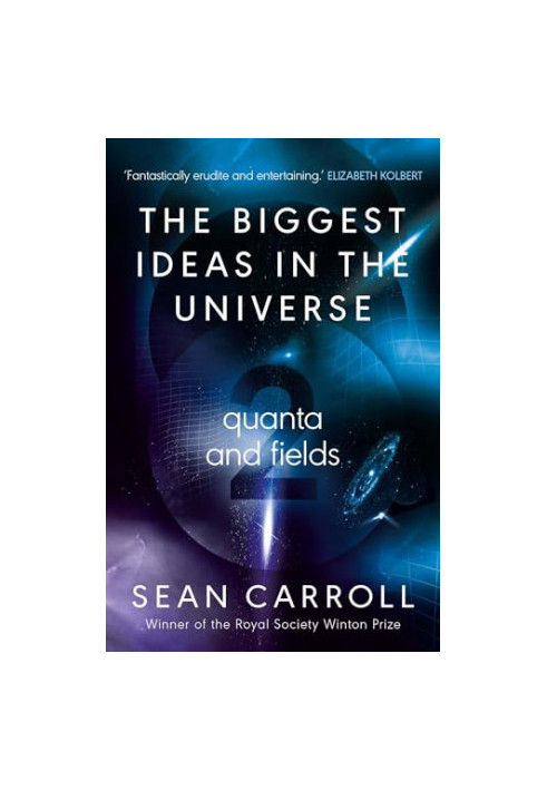 The Biggest Ideas in the Universe 2: Quanta and Fields