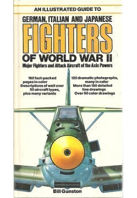 An Illustrated Guide to German, Italian & Japanese Fighters of World War II