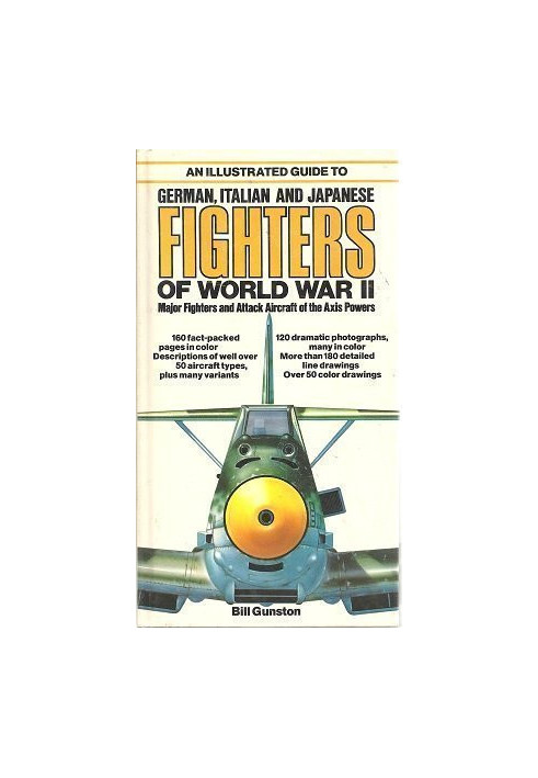 An Illustrated Guide to German, Italian & Japanese Fighters of World War II