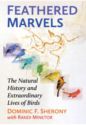 Feathered Marvels: The Natural History and Extraordinary Lives of Birds