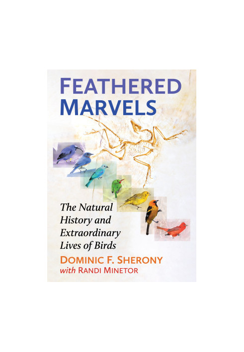 Feathered Marvels: The Natural History and Extraordinary Lives of Birds