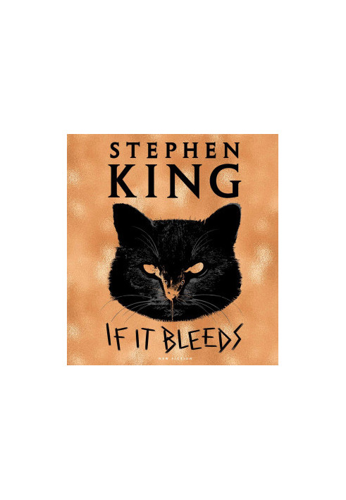 If It Bleeds - Holly Gibney 02
