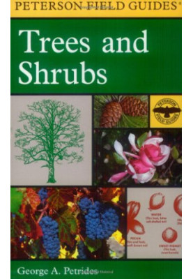 A Field Guide to Trees and Shrubs: Northeastern and North-Central United States and Southeastern and South-Central Canada