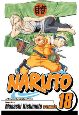 Naruto, Vol. 18: Tsunade's Choice