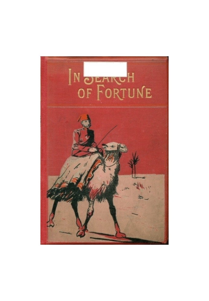 In search of fortune: A tale of the old land and the new