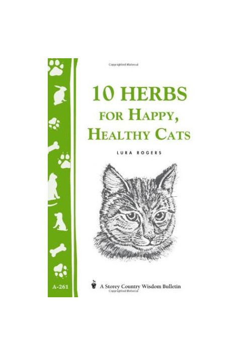 10 Herbs for Happy, Healthy Cats