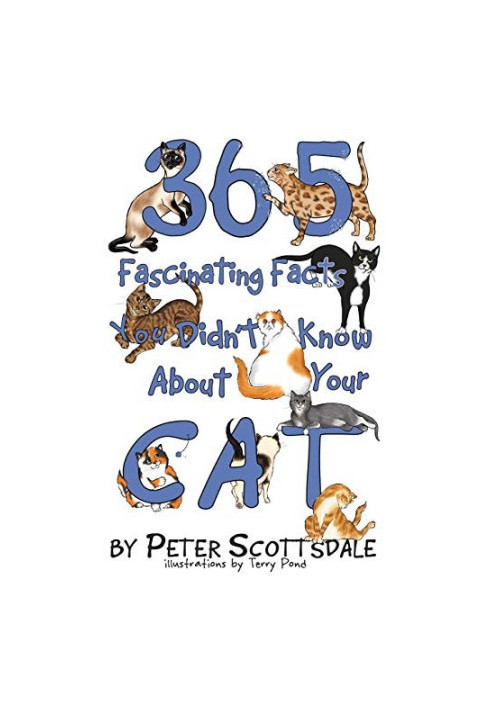 365 Fascinating Facts You Didn't Know About Your Cat