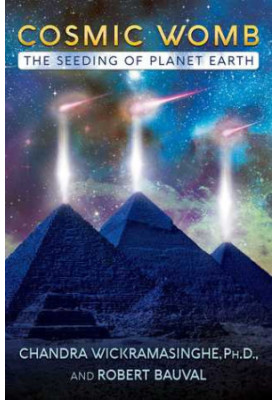 Cosmic Womb: The Seeding of Planet Earth