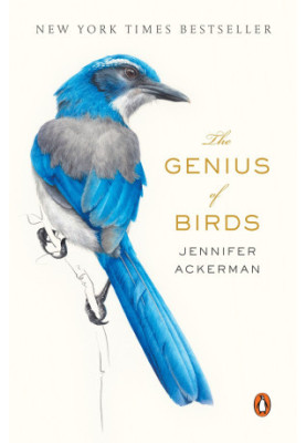 The Genius of Birds
