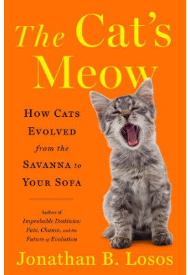 The Cat's Meow: How Cats Evolved from the Savanna to Your Sofa