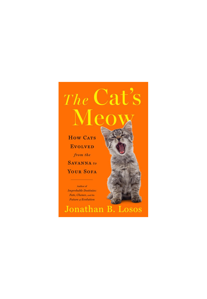 The Cat's Meow: How Cats Evolved from the Savanna to Your Sofa