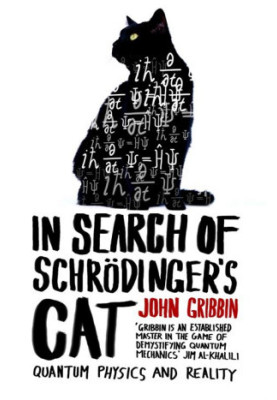 In Search of Schrodinger’s Cat: Quantum Physics And Reality