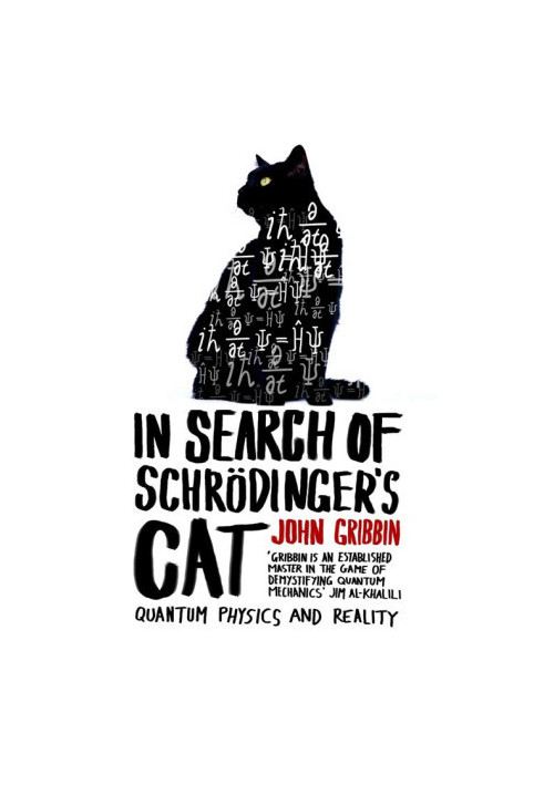 In Search of Schrodinger’s Cat: Quantum Physics And Reality