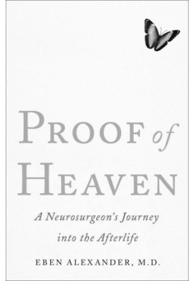 Into the Afterlife · A Neurosurgeon's Near Death Experience and Spiritual Awakening