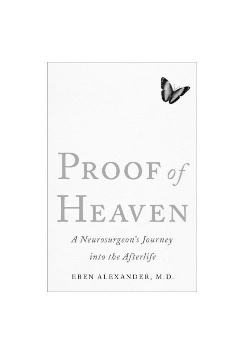 Into the Afterlife · A Neurosurgeon's Near Death Experience and Spiritual Awakening