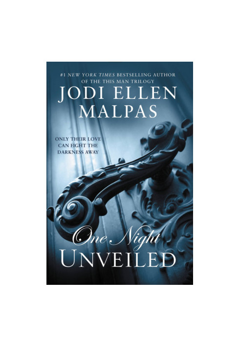 ONE NIGHT: UNVEILED (The One Night Trilogy Book 3)